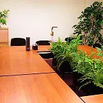 Eurohotel Auberge de jeunesse *